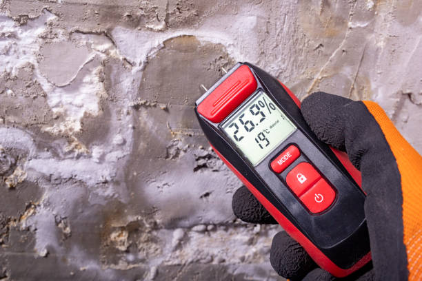 Best Crawl Space Mold Removal  in Whitewater, WI