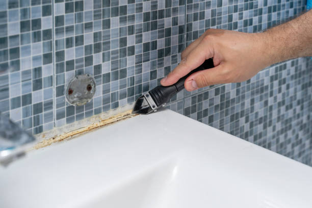 Professional Mold Removal in Whitewater, WI