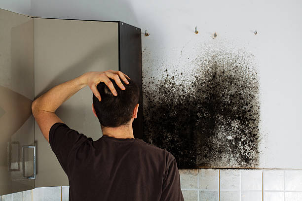 Best Certified Mold Removal  in Whitewater, WI